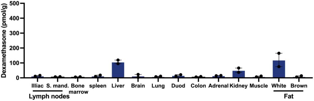 Dex-24h-Post-Injection-graphic